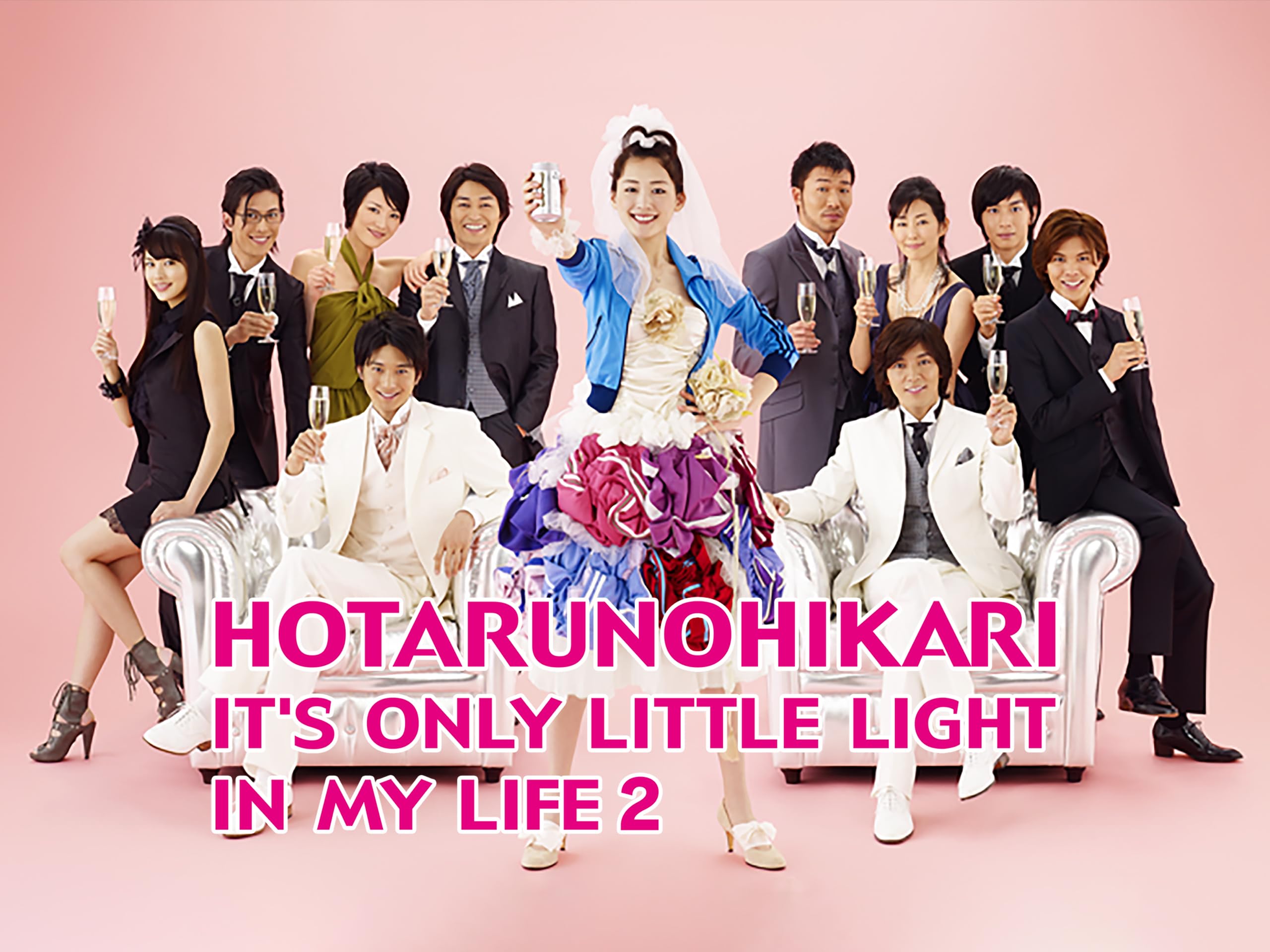 Hotarunohikari: It's Only Little Light in My Life 2